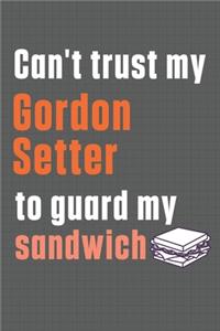 Can't trust my Gordon Setter to guard my sandwich