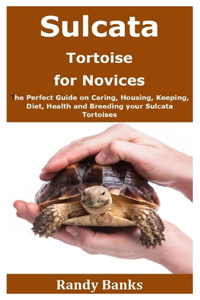 Sulcata Tortoise for Novices