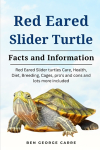 Red-Eared Slider Turtle