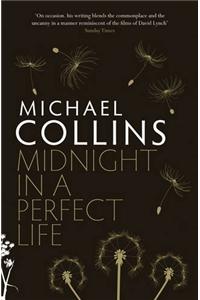 Midnight in a Perfect Life