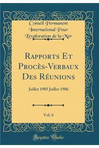 Rapports Et Procï¿½s-Verbaux Des Rï¿½unions, Vol. 6: Juillet 1905 Juillet 1906 (Classic Reprint)
