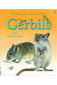 Gerbils