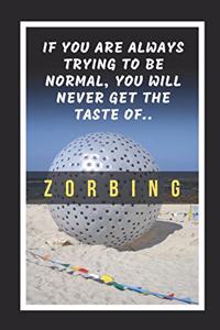 If You Are Always Trying To Be Normal, You Will Never Get The Taste Of Zorbing