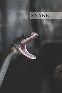 Snake