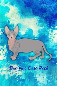 Bambino Cats Rock