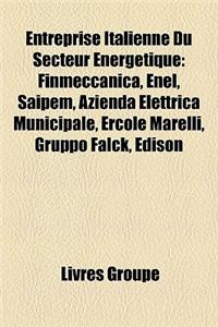 Entreprise Italienne Du Secteur Nergtique