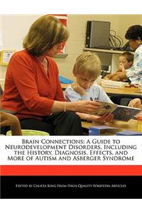 Brain Connections