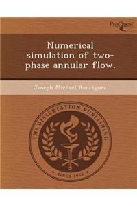 Numerical Simulation of Two-Phase Annular Flow