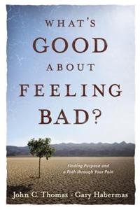 What's Good about Feeling Bad?
