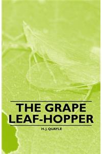Grape Leaf-Hopper