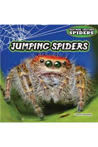 Jumping Spiders