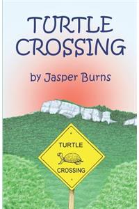 Turtle Crossing