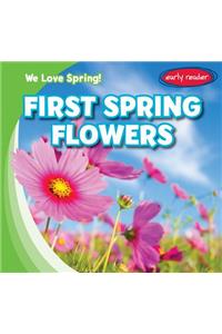 First Spring Flowers