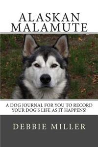 Alaskan Malamute