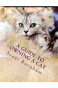 Guide To Owning A Cat