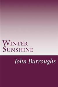 Winter Sunshine