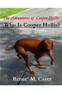 Adventures of Cooper Hollis