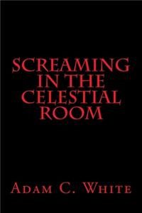 Screaming in the Celestial Room
