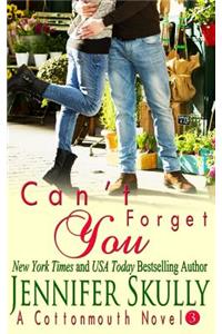Can't Forget You