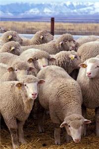 Flock of Sheep Journal
