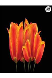 Notebook Kingdom Flower Series