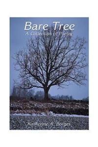 Bare Tree