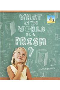 What in the World Is a Prism?