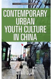 Contemporary Urban Youth Culture in China