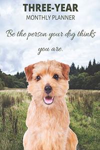 Three Year Monthly Planner Starting 2020 Agenda with Weekly Plan Space - Best Gift For Dog Owner - Funny Norfolk Terrier Appointment Book for 2021 & 2022