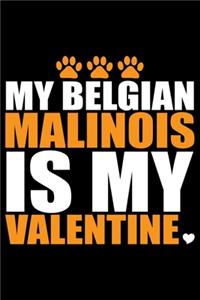 My Belgian Malinois Is My Valentine
