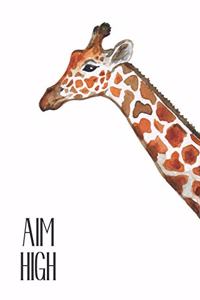Aim High