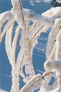 2020 Weekly Planner Winter Theme Snow Covered Twigs 134 Pages