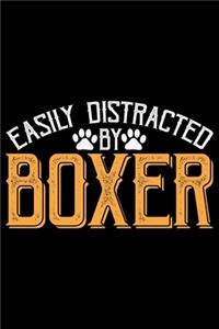 Easily Distracted By Boxer