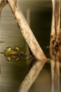 Frog in a Bog Journal