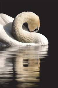 Swan Notebook