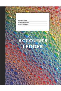 Accounts Ledger