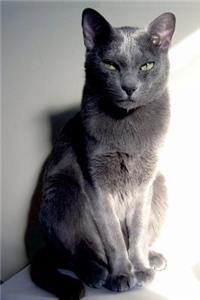 The Korat Cat Journal 