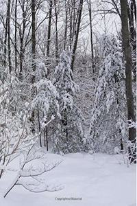 Winter School Composition Book Snowy Woods Photo 130 Pages