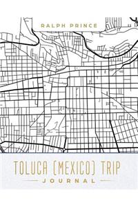 Toluca (Mexico) Trip Journal