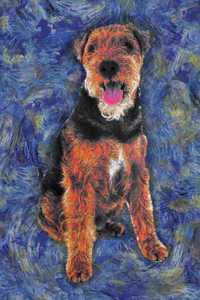 Welsh Terrier