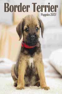 BORDER TERRIER PUPPIES MINI SQUARE WALL