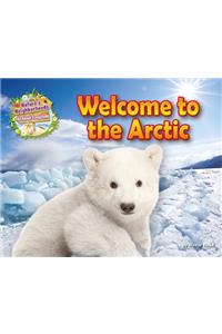 Welcome to the Arctic