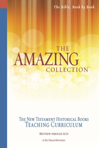 Amazing Collection the New Testament Historical Books Teaching Curriculum