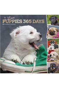 Puppies, I Love, 365 Days, 2021 Square Foil