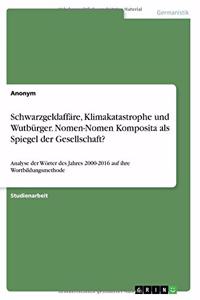 Schwarzgeldaffäre, Klimakatastrophe und Wutbürger. Nomen-Nomen Komposita als Spiegel der Gesellschaft?