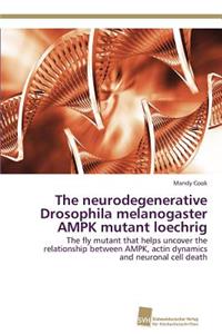 neurodegenerative Drosophila melanogaster AMPK mutant loechrig