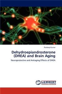 Dehydroepiandrosterone (DHEA) and Brain Aging