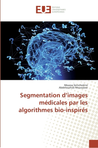 Segmentation d'images médicales par les algorithmes bio-inspirés