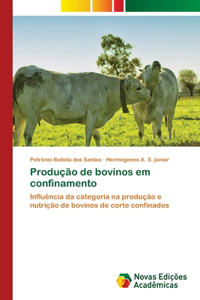 Produção de bovinos em confinamento