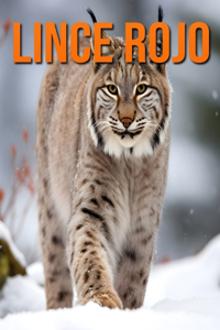 Lince rojo